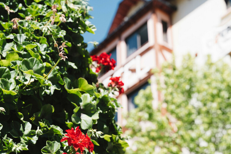 Hostal Font Andorra Hostel By Nexta