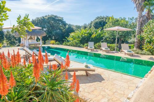 Villa Son Punta