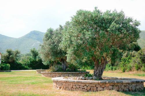Finca S��liva