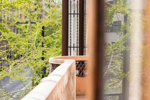 Eco Hostel