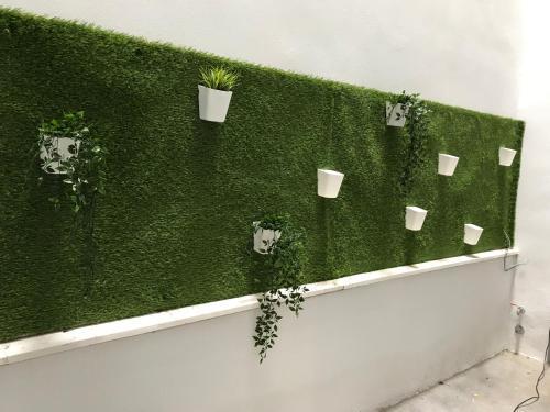 Eco Hostel