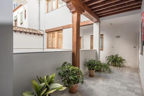 Apartamento Suite Enjoy Dreams Granada