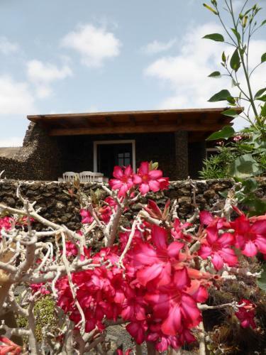 Casita Verde