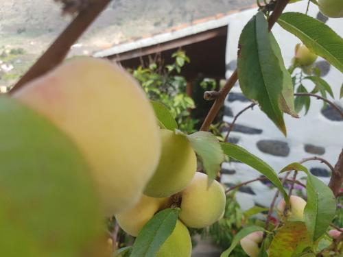 Agroturismo Casa Rural Nuevitas I