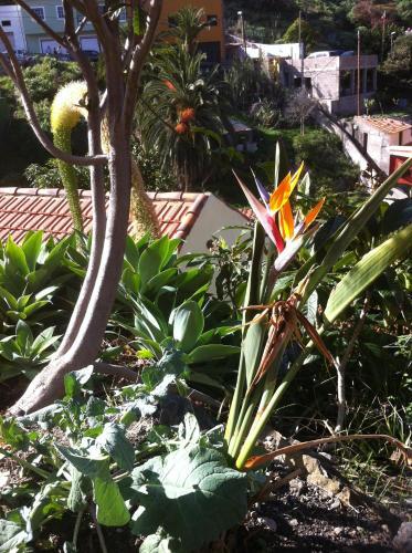 Agroturismo Casa Rural Nuevitas I