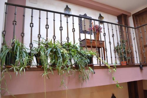 Toribio** Hostal & Restaurante