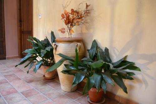 Toribio** Hostal & Restaurante