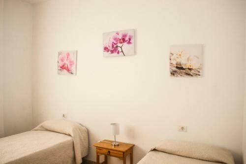 Rose Apartments