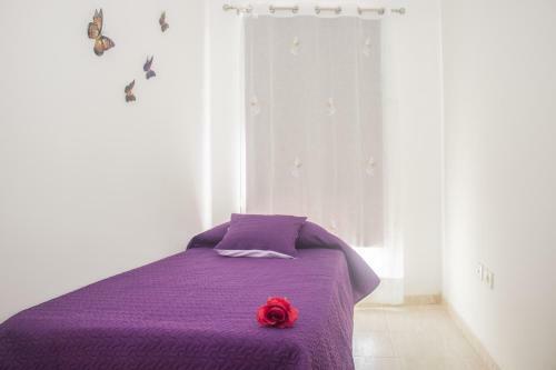 Gardenia Apartments