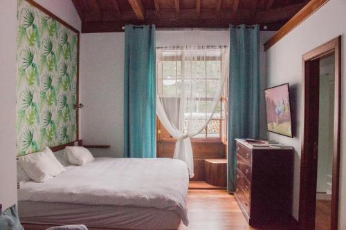 Canary Dreams Apartments