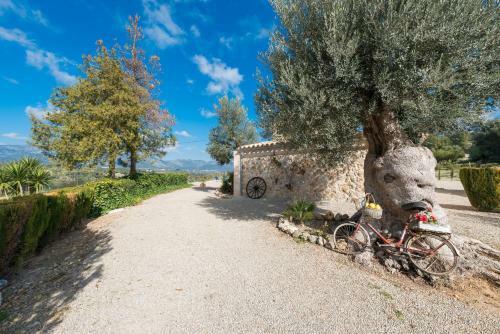 Villa Son Gual