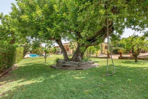 Son Bosch