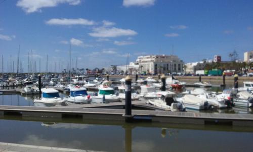 Apartamento Alcarav�n Playa