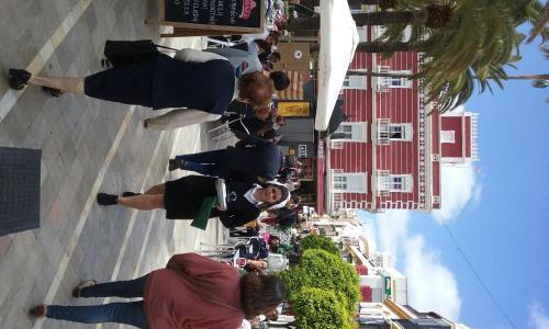 Apartamento Alcarav�n Playa