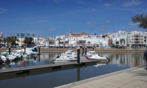 Apartamento Alcarav�n Playa