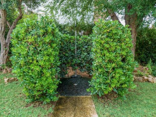 Apartment Monta�ar 82