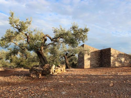 Serene Holiday Home In L'ampolla With Private Swimming Pool