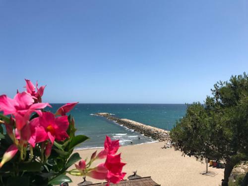 Villa Montserrat 1