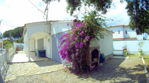Villa Bruja