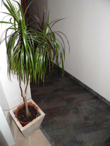 Hostal Santa Clara