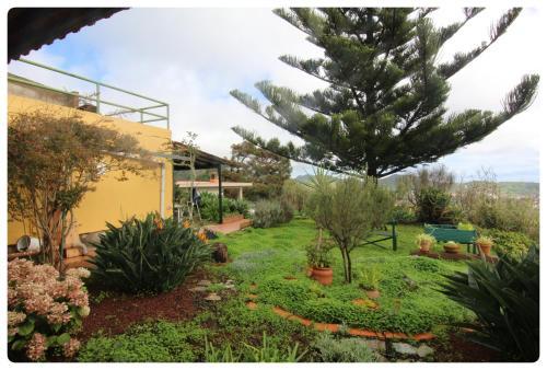 Live La Laguna Casita Vieja