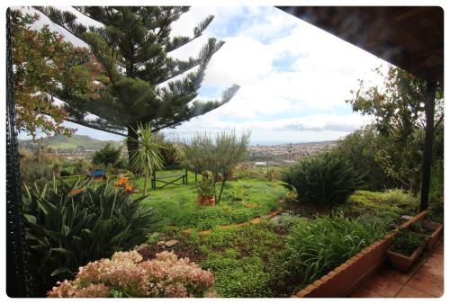 Live La Laguna Casita Vieja