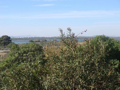 Apartamento Casas Holiday - Playa La Mata III