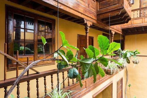 Live Orotava House