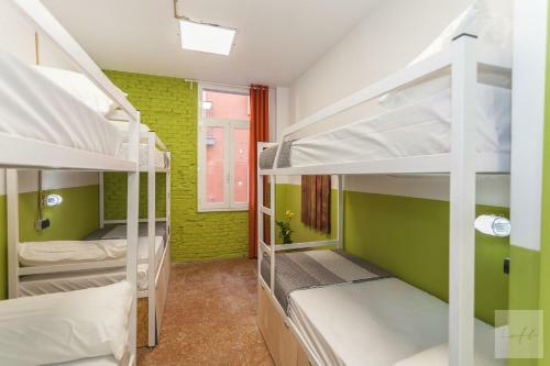 Albergue Loft Hostal