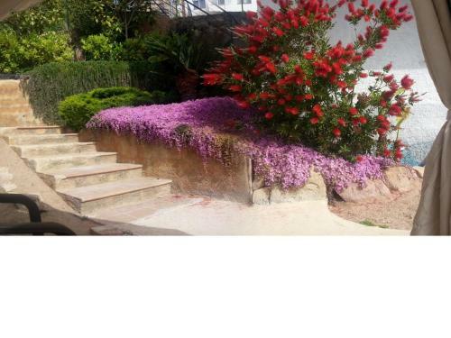 Apartamento Oasis