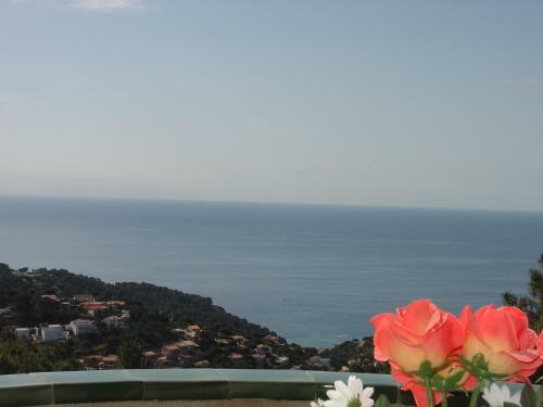 Villa Torre
