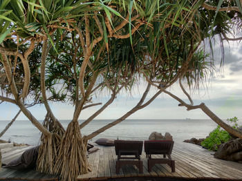 Hotel Moonlight Bay Resort