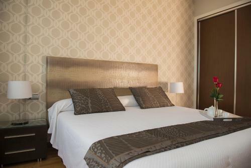Apartamentos Madrid Plaza