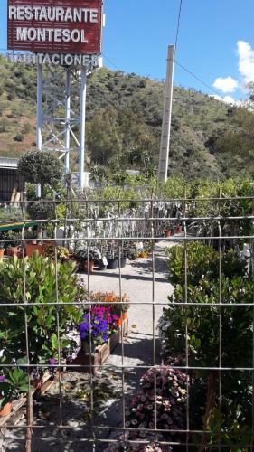 Hostal Nuevo Montesol
