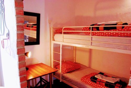 Bed & Breakfast Hostel Patio 19