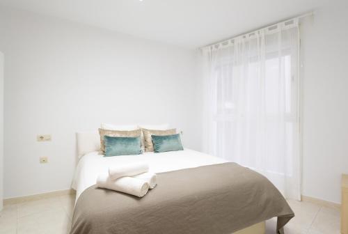 Plaza De Las Flores 1 Bedroom Apartment