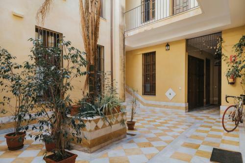 Apartamento Suncity Loft Pozos Dulces