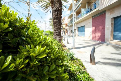 Apartamento Malgrat Beach