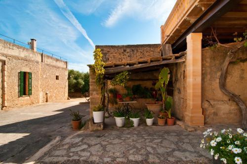 Finca Son Sureda Agroturismo