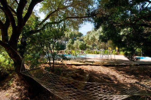 Finca Son Sureda Agroturismo