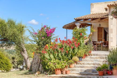 Es Tur� Des Bessons