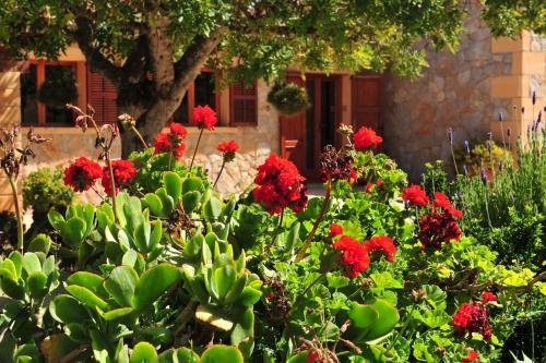 Villa Finca Cavall De Mar