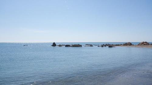 Apartamento Marina Del Castillo 236