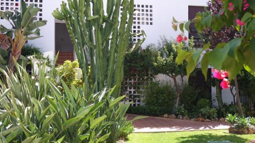 Apartamento Puerto Banus La Maestarnza