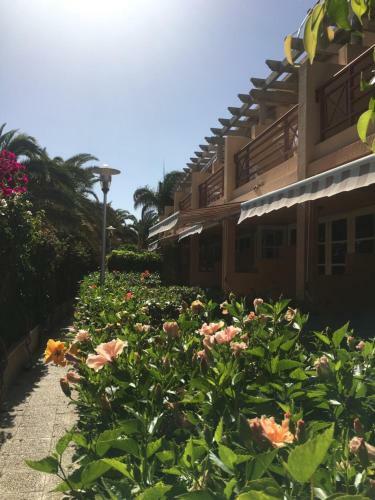 Apartamento Oasis Maspalomas