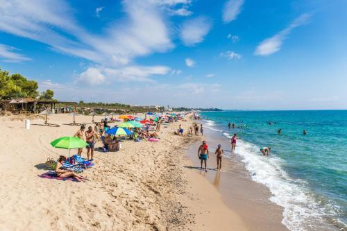 Pino Alto Holiday Homes Cristal9