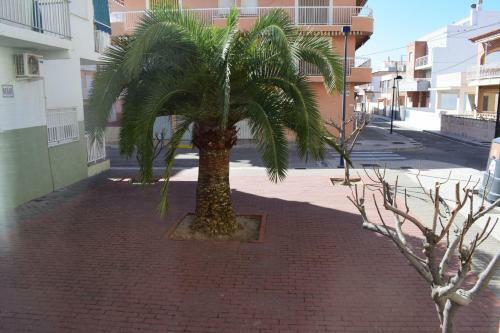 Apartamento Ap950 Tres Dormitorios A 150m Del Paseo Mar�timo
