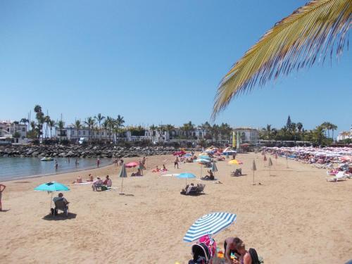 Apartamento Mog�n Close 5