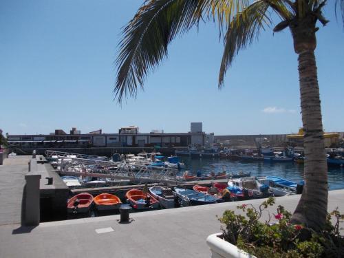 Apartamento Mog�n Close 5