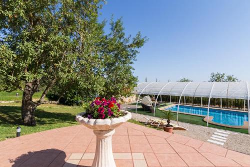 Holiday Oasis